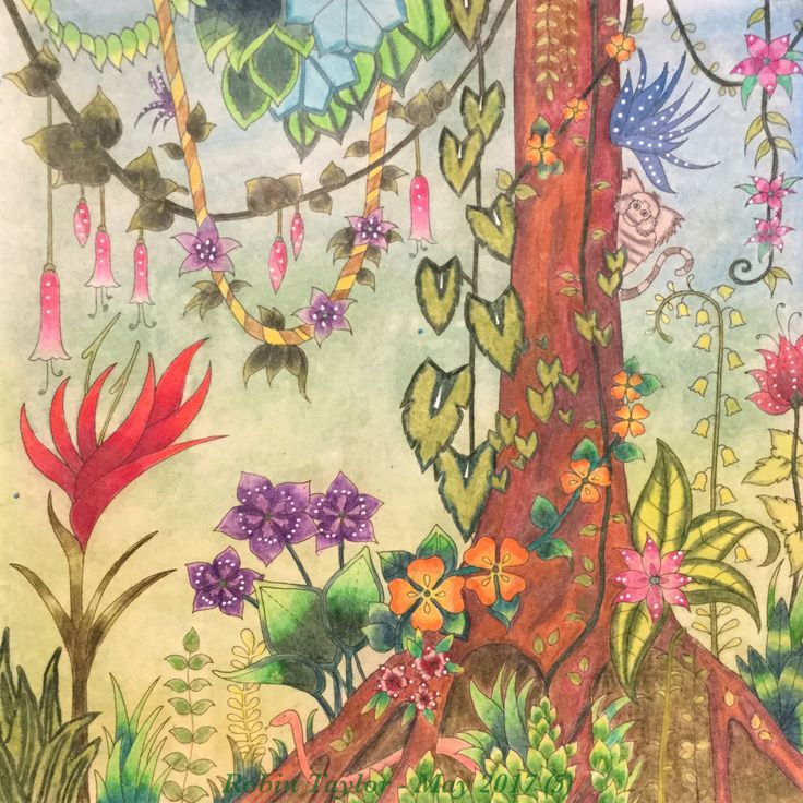 Johanna Basfords Magical Jungle Faber Castell Polychromos Pencils Posca Pens And Soft Pastel Background