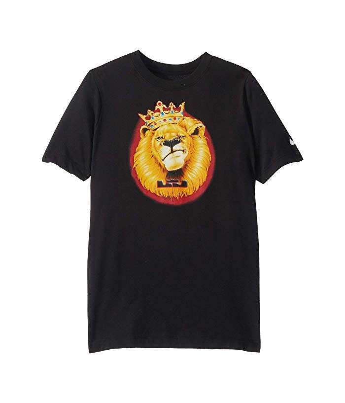 Punto de referencia Frente a ti Rendición Nike kids lebron james lion t shirt big kids + FREE SHIPPING | Lion tshirt,  Nike kids, Big kids