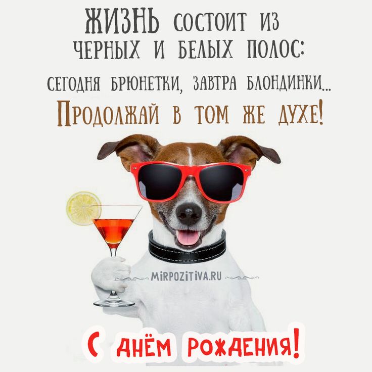 Последним звонком, поздравления с днем рождения сергею картинки прикольные