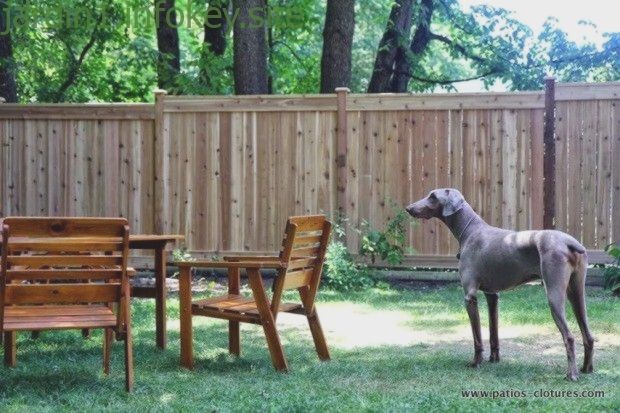 Une Cloture Pour Chien Assez Haute Opaque Solide Et Belle