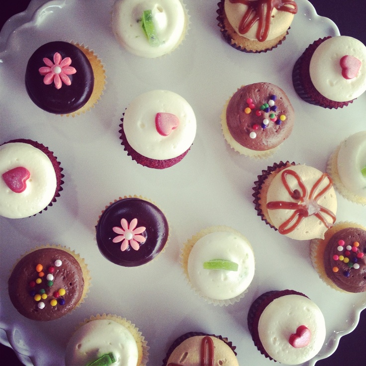 Mini Cupcakes Myrtle Beach Sc Mini Cupcakes Myrtle Beach Sc