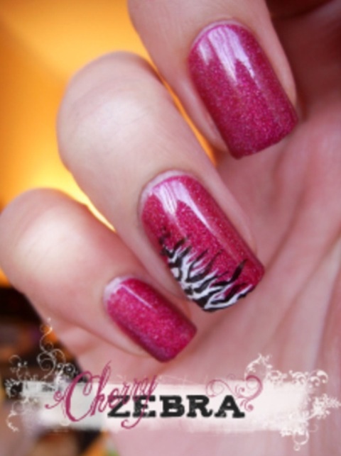 Best Way To Paint Over Black And White Zebra Stripes Best Way To Paint Over Black And White Zebra Stripes