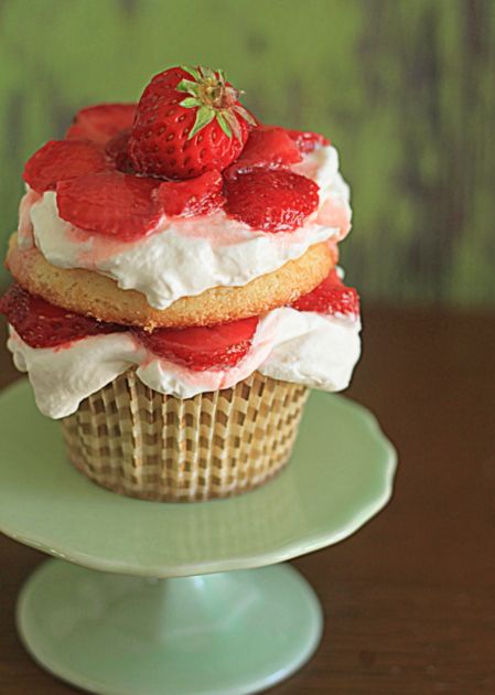What Are The Cake Things Baked On Seashells What Are The Cake Things Baked On Seashells