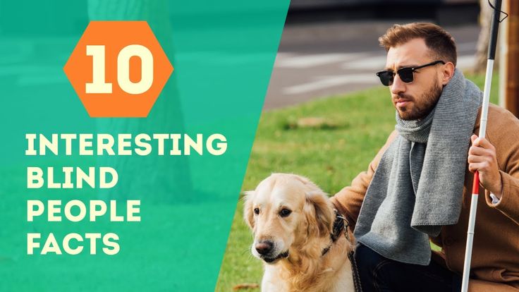 10 Interesting Blind People Facts | Facts about people, Facts, 10 things
