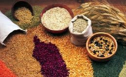 F O O D L I S T | MAKER'S DIET | Notice that there are 3 phases. Phase 1 is very restricted in order to cleanse the body of toxins. Phas...