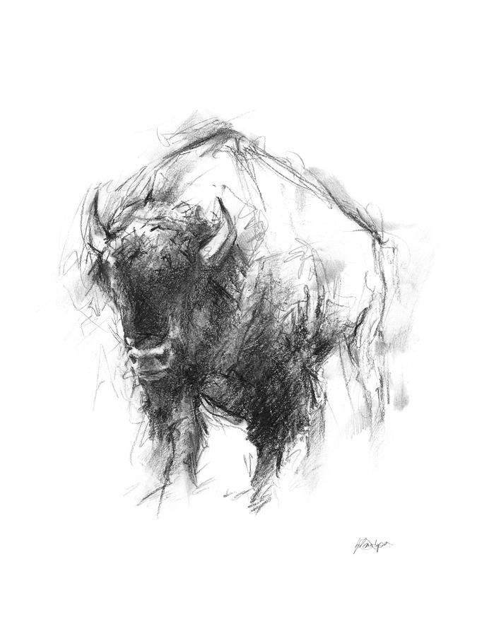 Bison Buffalo Art Canvas Print Male Wildlife Drawing Sketch Wall Decor Painting Bison Buffalo Art Canvas Print Male Wildlife Drawing Sketch Wall Decor Painting