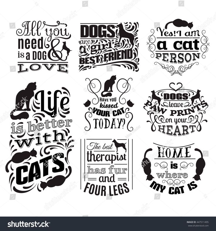 Collection of quote typographical background about cats and dogs with hand drawn waves and scrolls.Vector silhouette of cat. Template for business card poster and banner. Print for clothes.