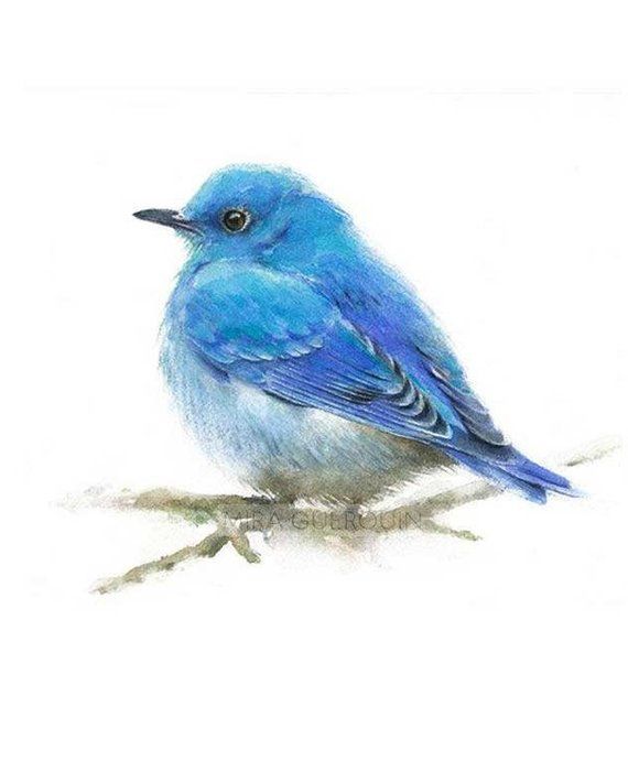 Watercolor Bird Painting Watercolor Painting Bird Art Nature