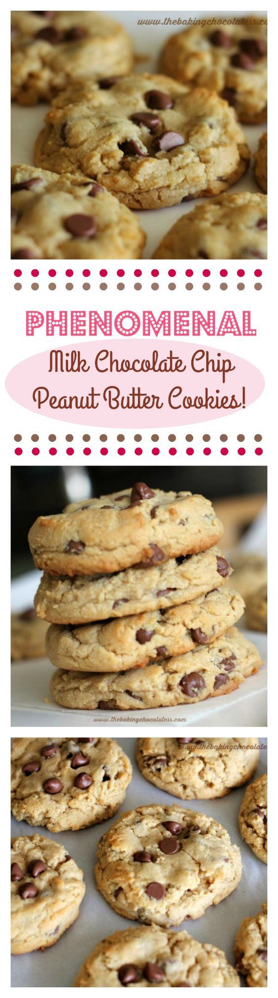 Cake Recipes Using Bob Redmill Gluten Free Flour Cake Recipes Using Bob Redmill Gluten Free Flour