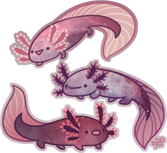 35 best Axolotls images on Pinterest Axolotl Funny stuff and Salamanders