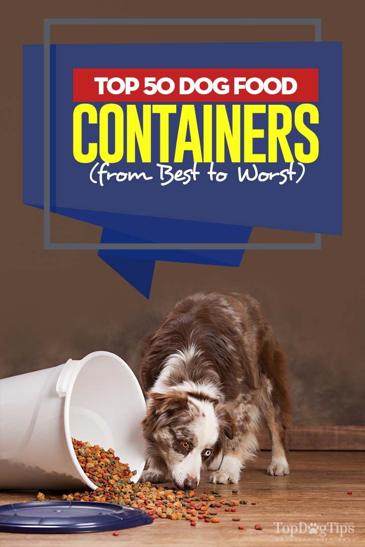 Top 50 Best Dog Food Containers Pet Food Storage Best Dog Food