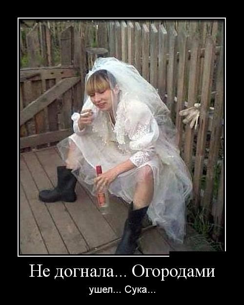 Текст, езидские прикольные картинки