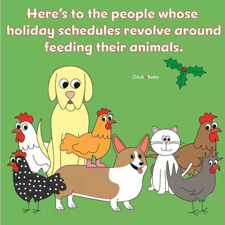 Merry Christmas | Dog quotes, Sweet animals, Pet care