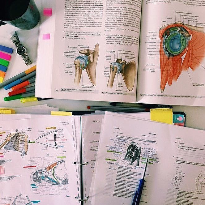 study hard and become a doctor doctor medicine medical how hard is it to get a doctors note