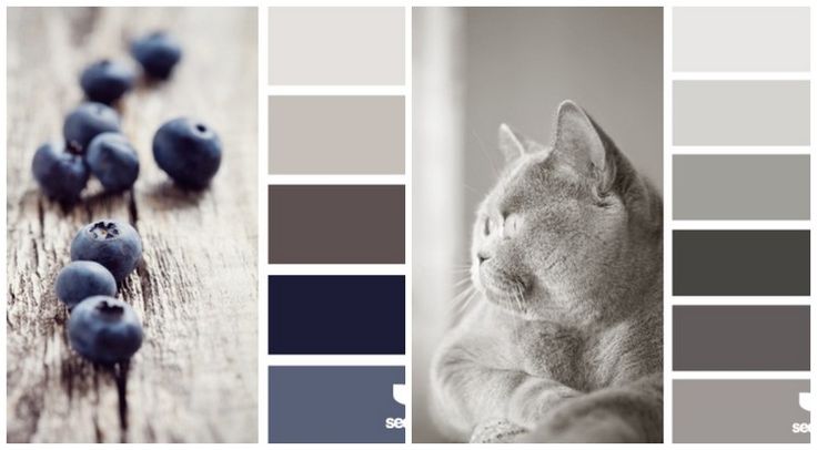 Die besten 25+ Grau Ideen auf Pinterest Designideen Die besten 25+ Grau Ideen auf Pinterest Designideen