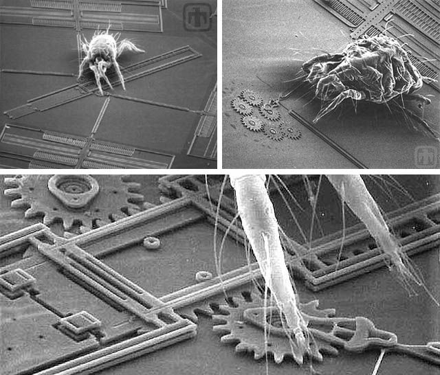 bugs on chips microelectromechanical systems mems are almost nano