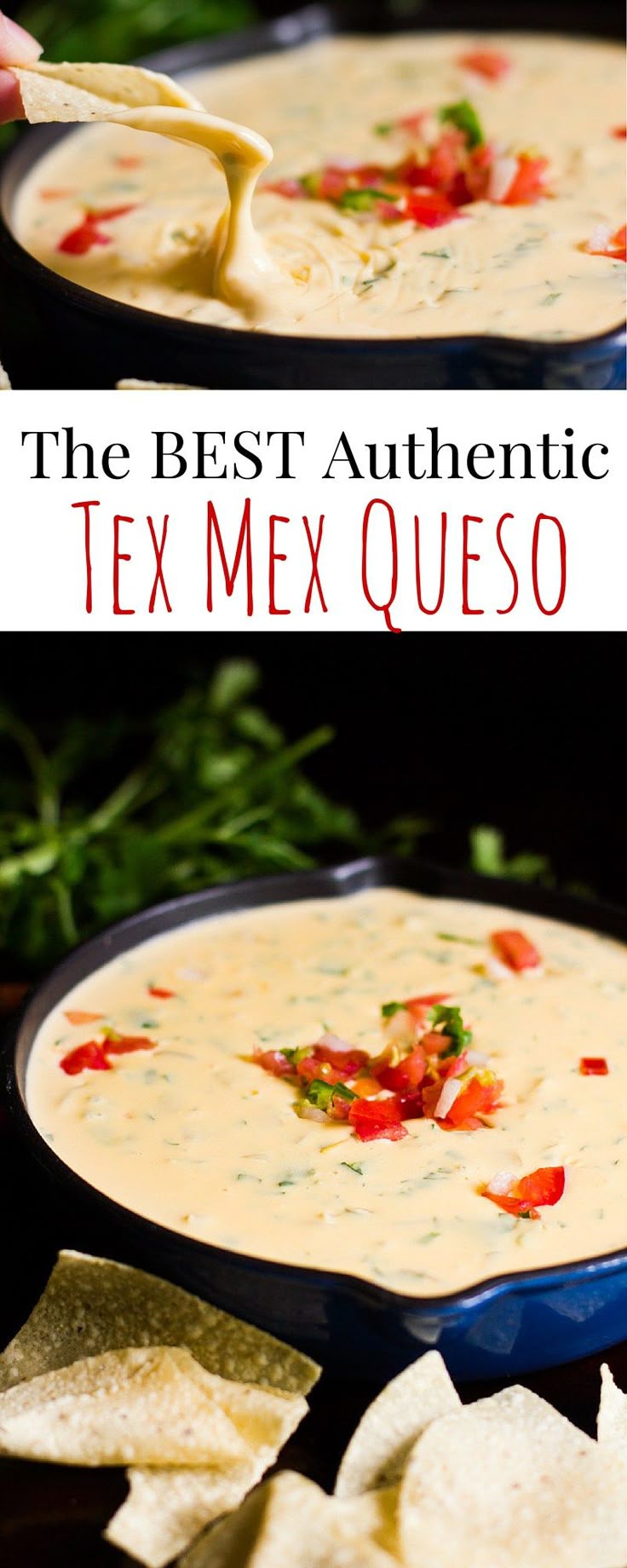 Mexican Restaurant Queso Blanco Dip Recipe Mexican Restaurant Queso Blanco Dip Recipe