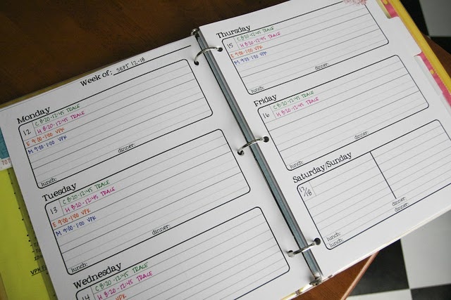 Could not find the download on the original page so I created my own: http://www.scribd.com/doc/86766404/Week-at-a-Glance-Planner-Size