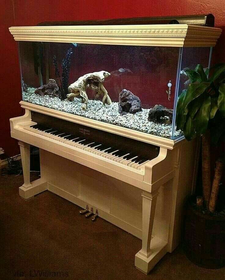 Kitchen Island Fish Tank best 20+ fish tank stand ideas on pinterest | tank stand, diy Kitchen Island Fish Tank best 20+ fish tank stand ideas on pinterest | tank stand, diy