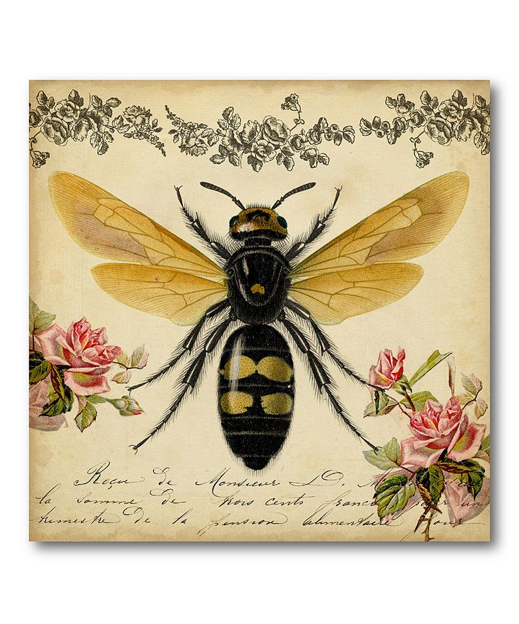432 Best Debbie The Bee Images On Pinterest Hy Bees And Honey Bee Gallery Wred Canvas