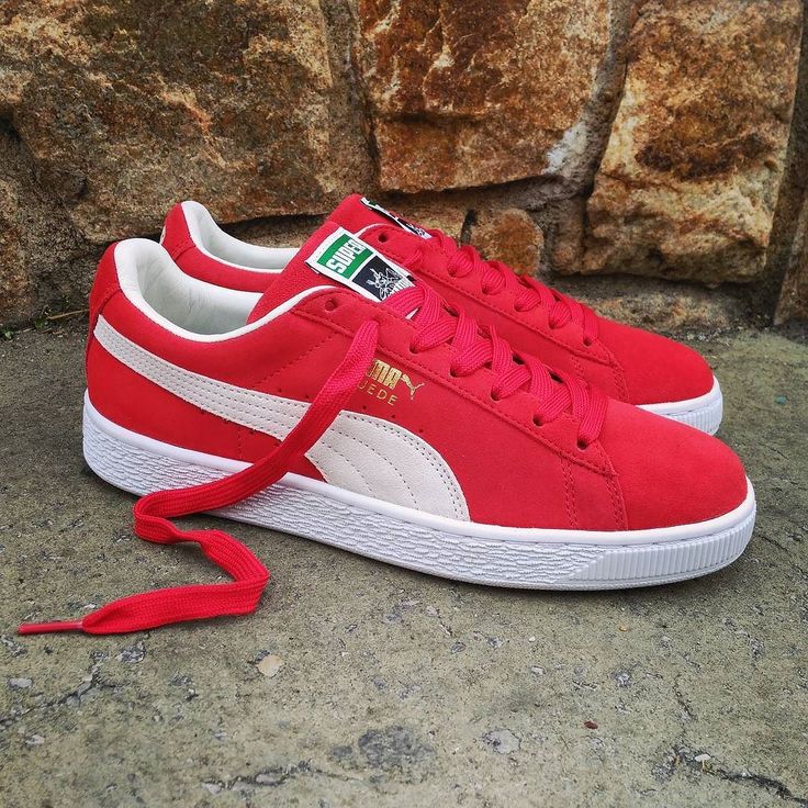 puma in spain puma in spain