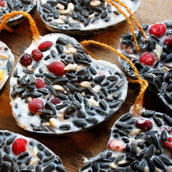Best Suet Cakes Best Suet Cakes