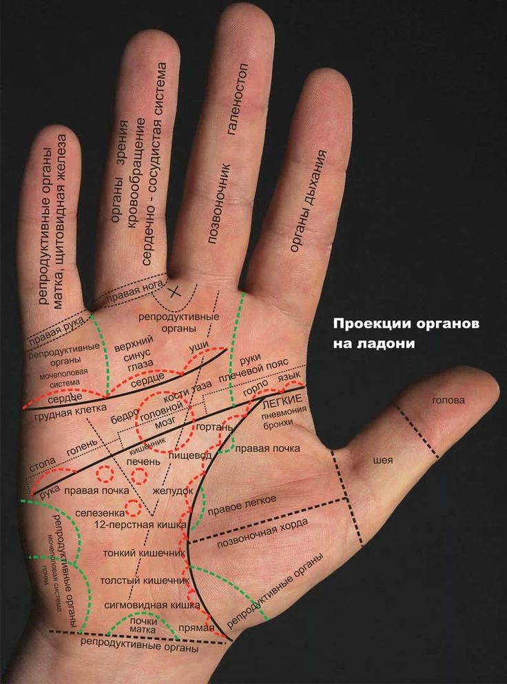 Цветы, картинки линии жизни