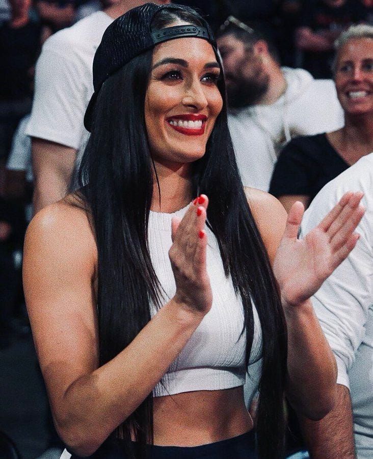 Bella Twins On Instagram The Picture Describe Itself Bella Twins Nikki Bella Photos Nikki Bella