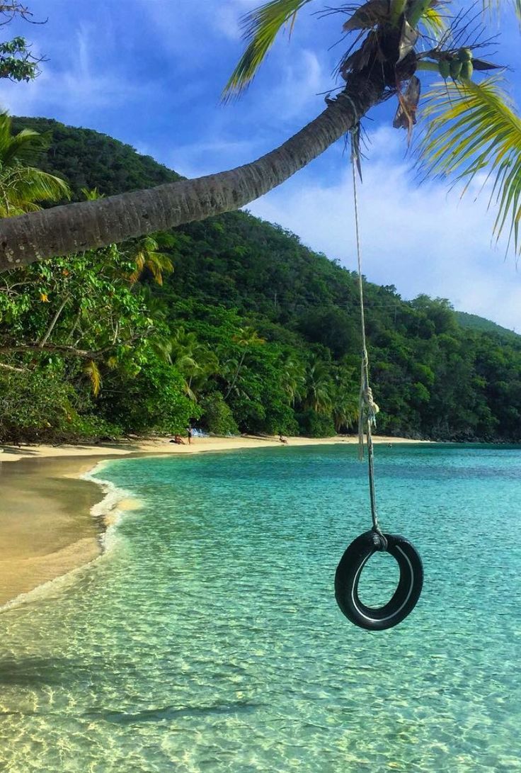 71 Best Beach Club Images On Pinterest Beautiful Dream Tire Swing On Oppenheimer Beach St John Usvi