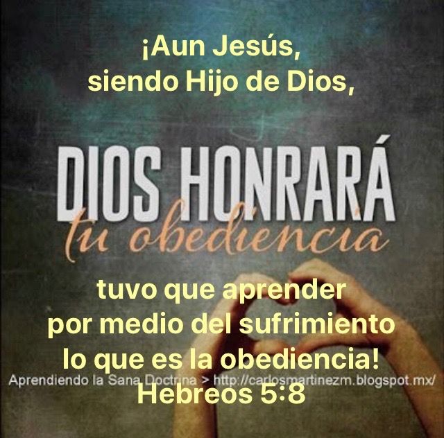 Pin De Nadsof Rsc En Biblia Y Fraces Cristianas Palabras De Sabiduria Frase De Fe Mensaje De Dios