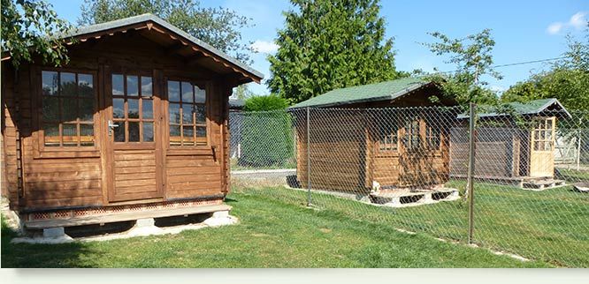Private Dog Boarding Edinburgh Private Dog Boarding Edinburgh