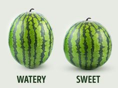 How to pick a perfect watermelon: tips from an experienced farmer