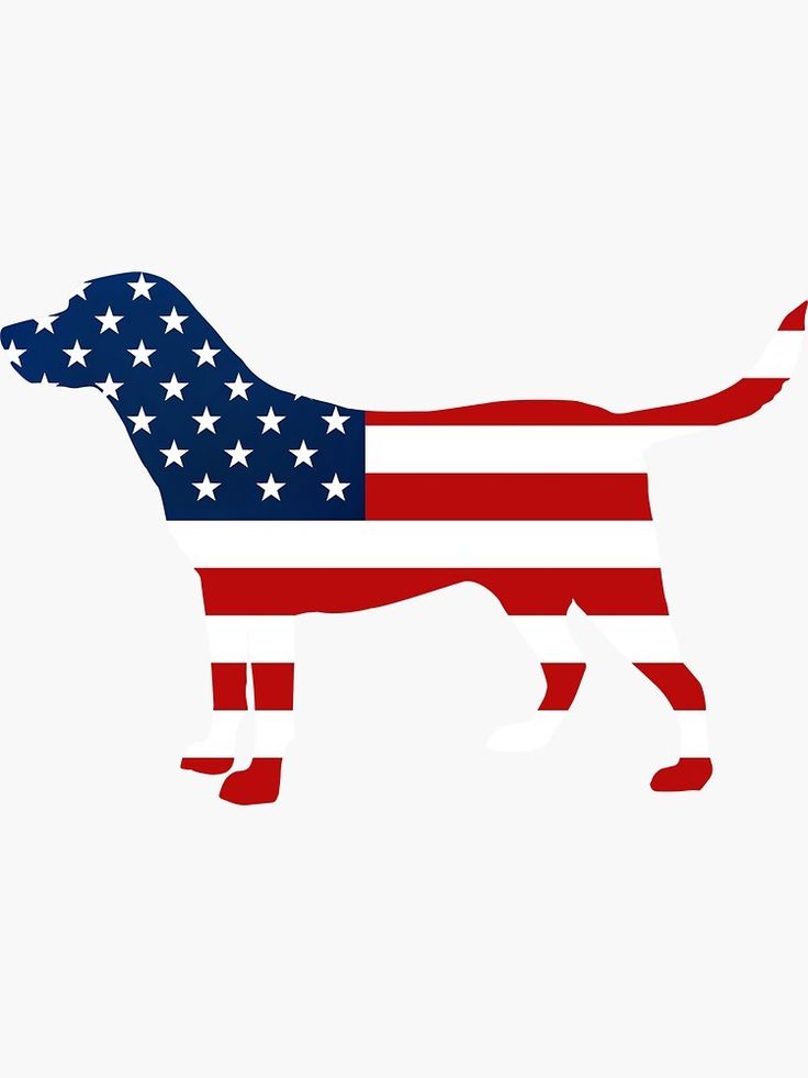 Pin by Victoria Kemp on Clothing Ideas | American flag decal, Patriotic