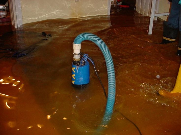 46 Best Bats With Floods Images On Pinterest Bat Best Water Pump For Flooded Bat