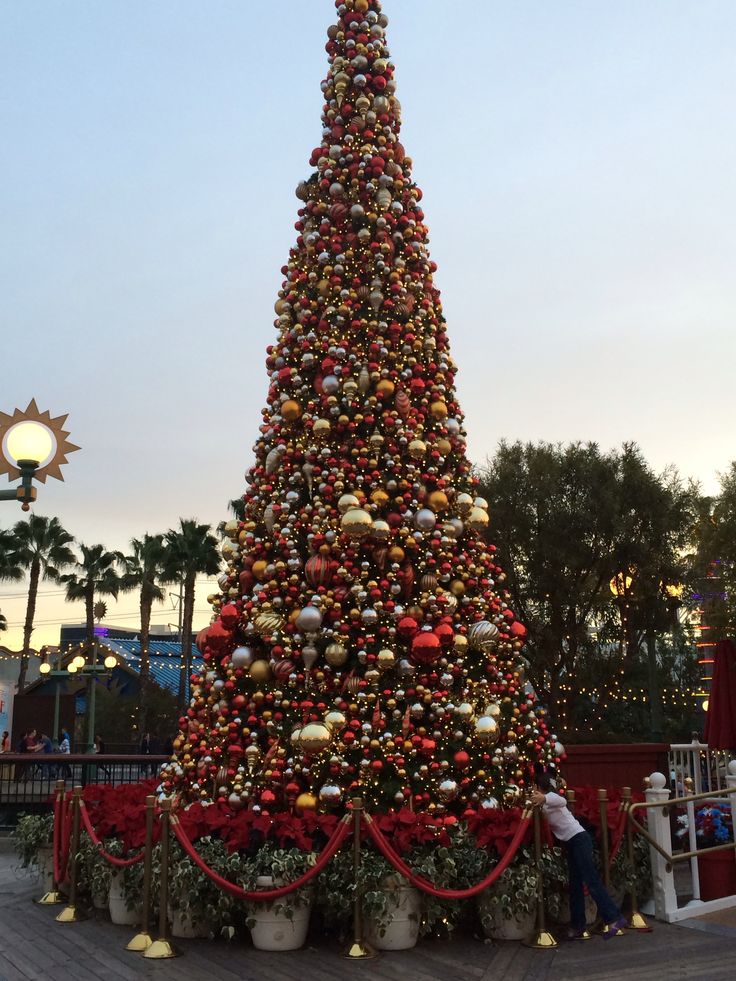 36 best disneyland at christmas images on pinterest 36 best disneyland at christmas images on pinterest