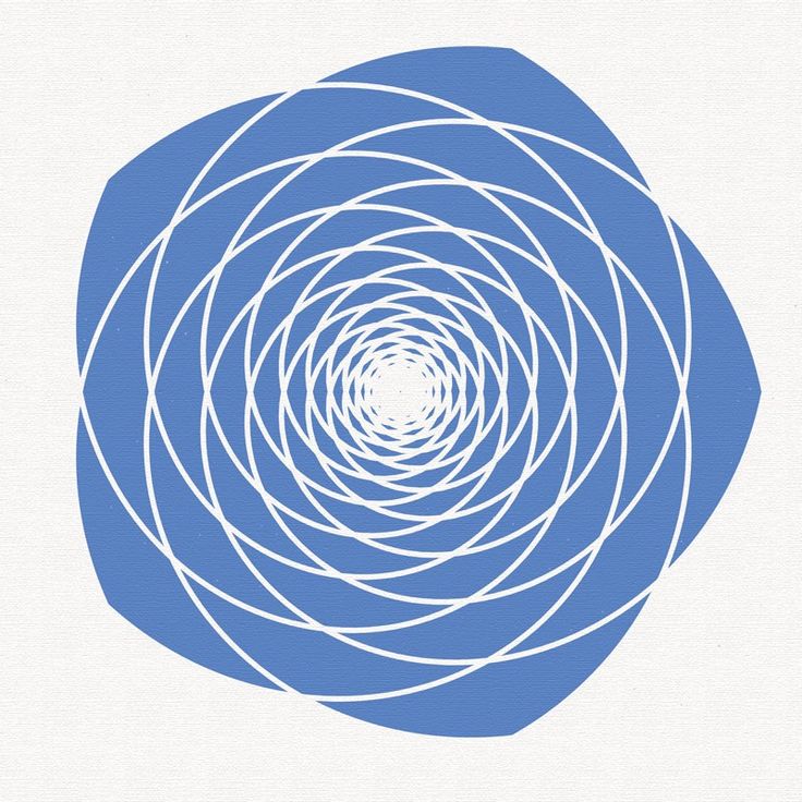 fibonacci sequence spiral art fibonacci sequence spiral art