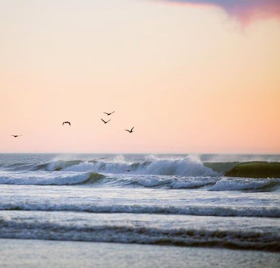 When Life Gives You Waves Ride Them Pismobeach When Life Gives You Waves Ride Them Pismobeach Michellewarren Mwfoto