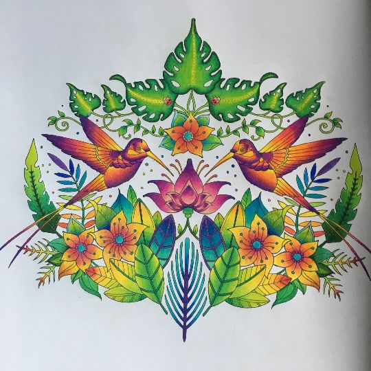 Johanna Basford Colouring Gallery Adult ColoringColoring BooksJohanna