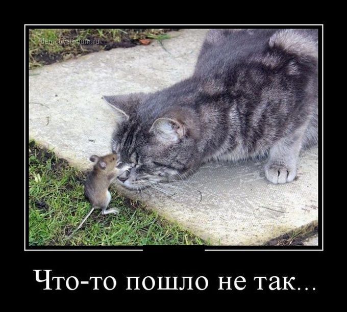 Любви любимому, гипноз смешные картинки