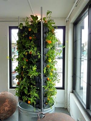 best 25+ vertical vegetable gardens ideas only on pinterest | tiny best 25+ vertical vegetable gardens ideas only on pinterest | tiny