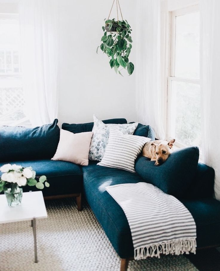 Deep Couches Living Room Deep Couches Living Room