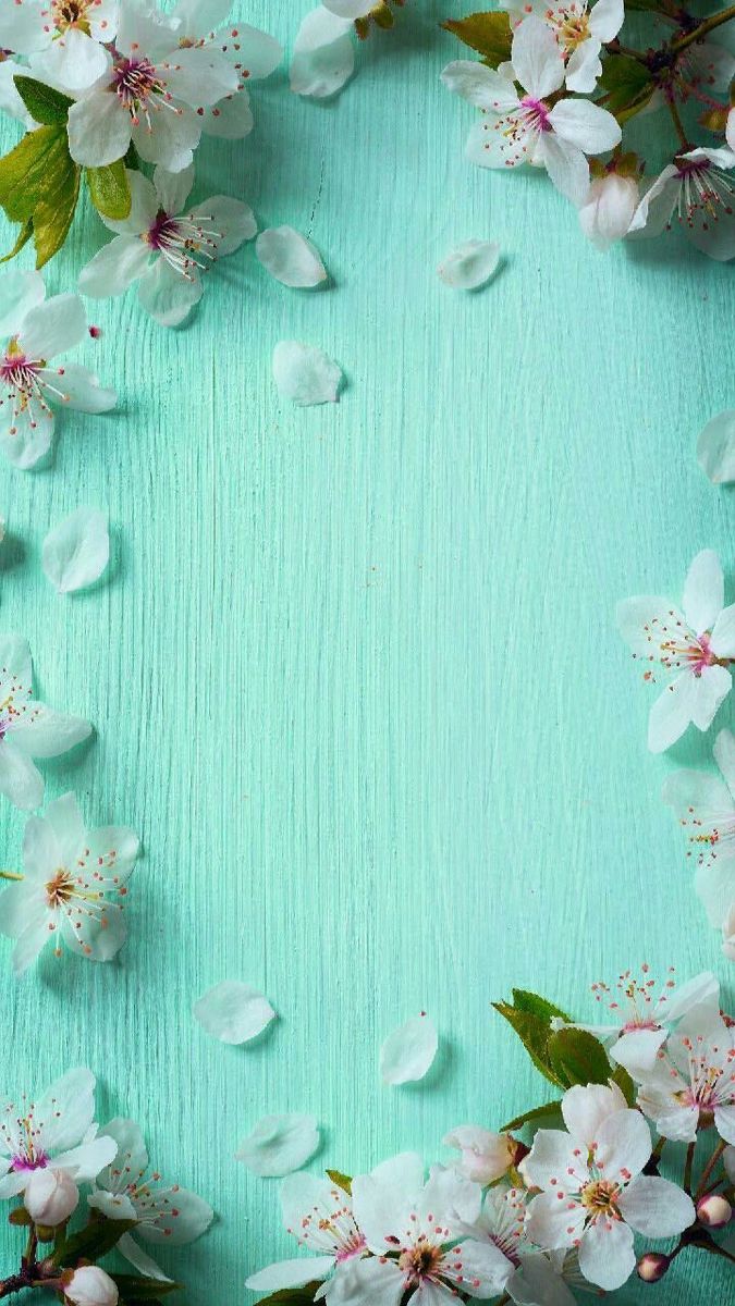 Iphone Pastel Floral Background Wallpaper Hd Pin by ๐ด๐๐๐กโ๐ฆ๐ ๐ก on Girly iPhone Wallpapers | Flower phone wallpaper