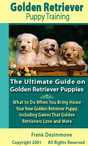 bringing home golden retriever puppy best 25 bringing home puppy ideas on puppy care barkingside f c and bringing home golden retriever puppy best 25 bringing home puppy ideas on puppy care barkingside f c and