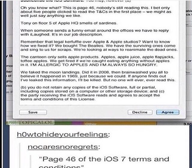 who in the world found this you will laugh pinterest random
