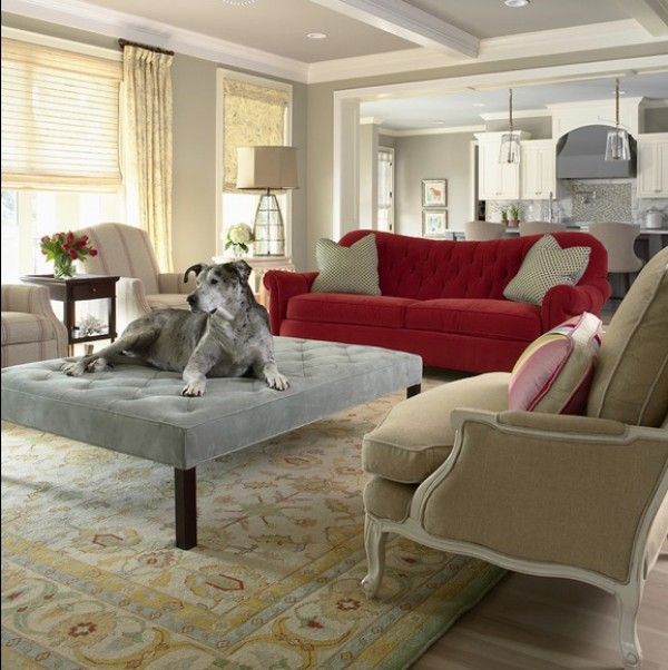 427 Best Pet Friendly Homes Images On Pinterest Pets Doggies And Choosing Pet Friendly Furniture For Your Interiors