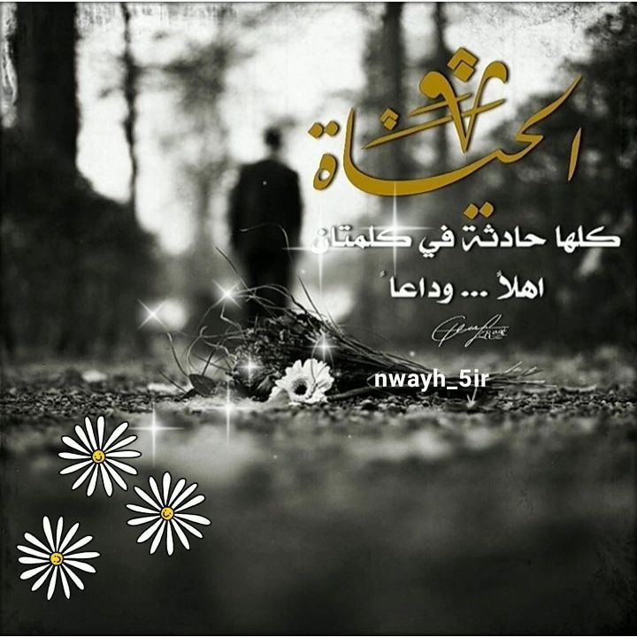 فنحن بين رحلة غياب وحضور وبين مبروك ماجاك وأحسن الله عزاك من هنا تعرف أن الدنيا محطة عبور وأنها لا تساوي جناح بعوضة فلا تسرق Movie Posters Poster Art