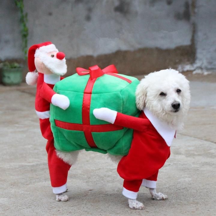 Christmas Dog Funny Santa Claus Costume Christmas Dog Dog