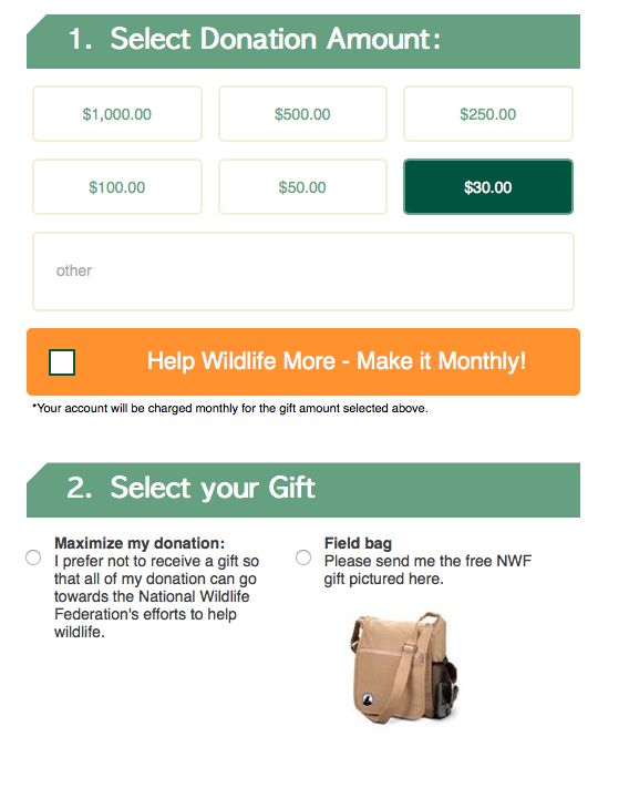 14 best donation form best practices images on pinterest donation donation forms for nonprofits
