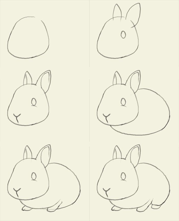 How to draw bunny learn to draw a cute bunny step by step images along with How to draw bunny learn to draw a cute bunny step by step images along with