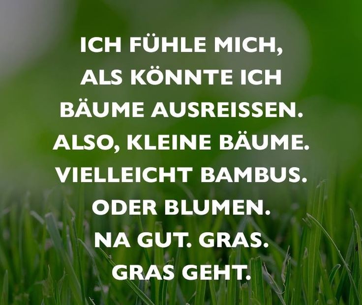 na gut.... gras geht. Kleine bäume, Visual statements, Gras